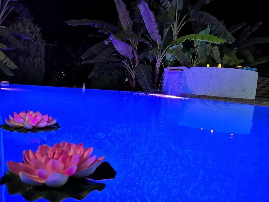 Valantas Garden Suite 拉多斯 外观 照片